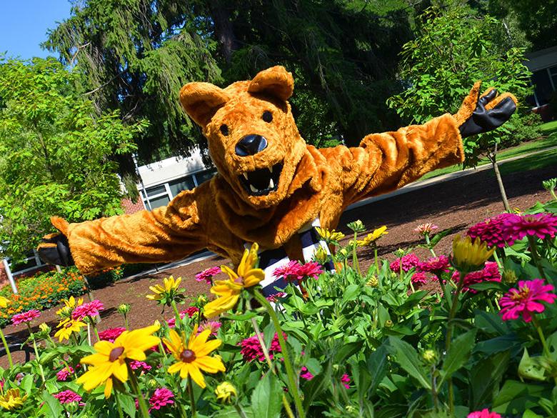 尼塔尼狮子在花坛后伸出双臂表示欢迎.